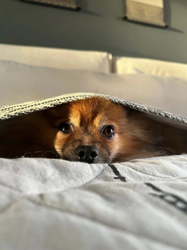 GIF caricata da Vins