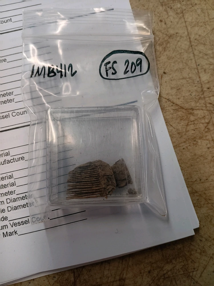 A bone comb found at an old site located near the Mobile Bay. 