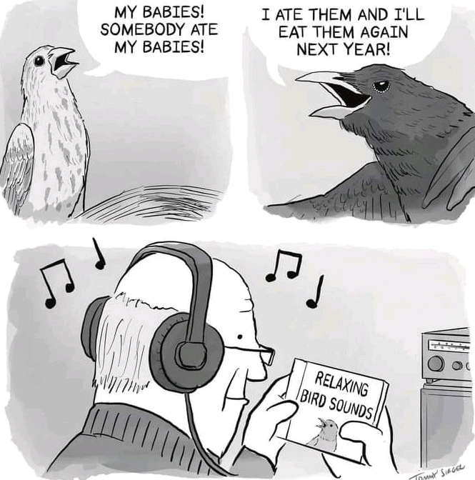 GIF uploaded by LunaStorta