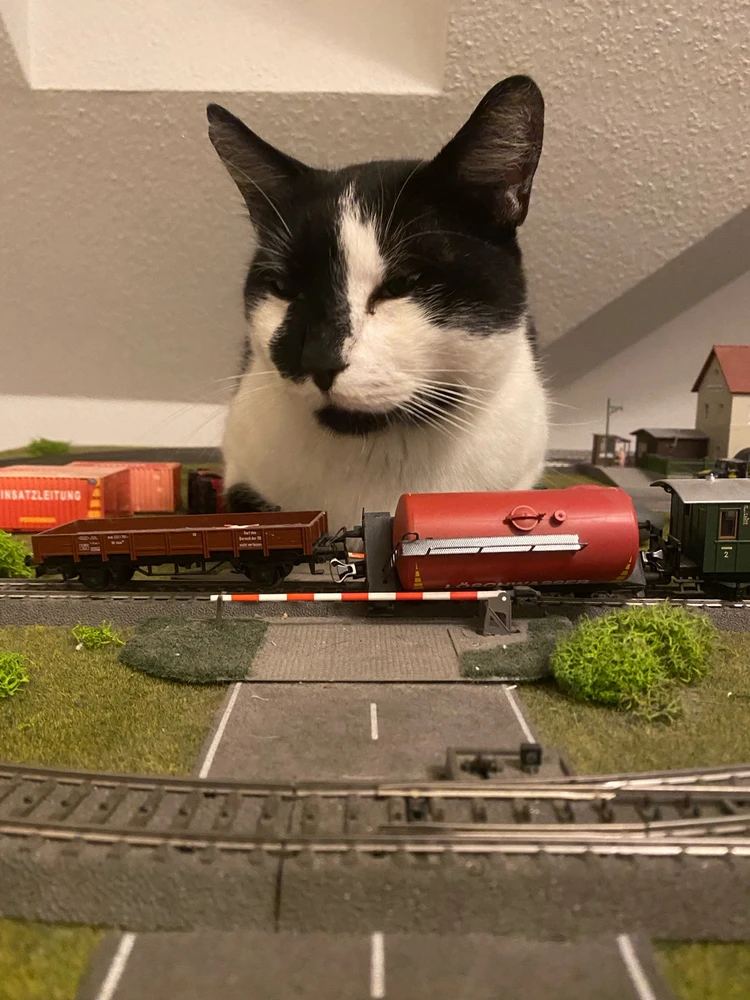 Bild hochgeladen von Max