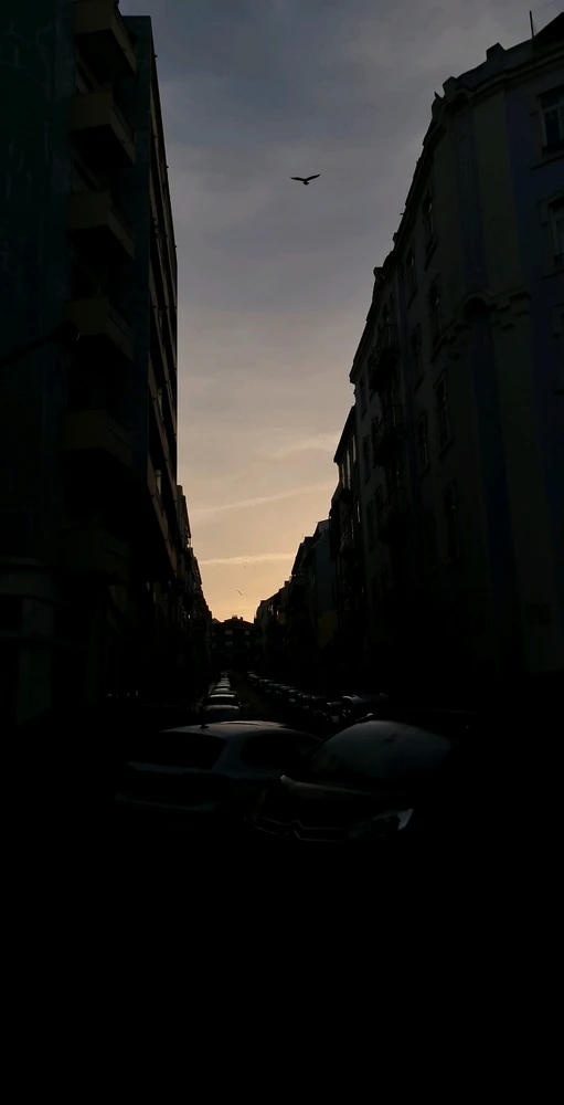 Jhon 上傳的 GIF