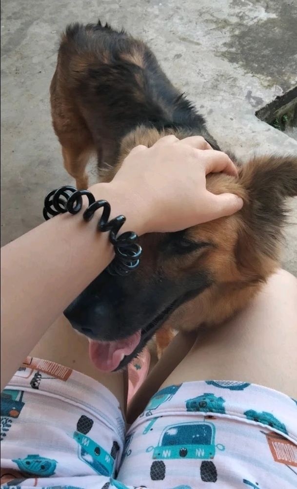 GIF uploaded by Elsie Elle
