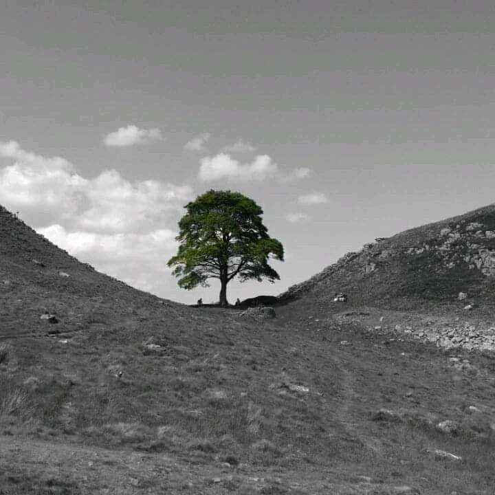 Robin Hood Prince of thief's 