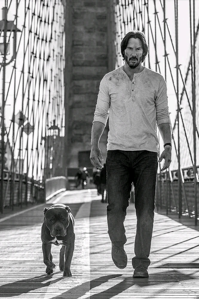 A thought for you lonely night owls