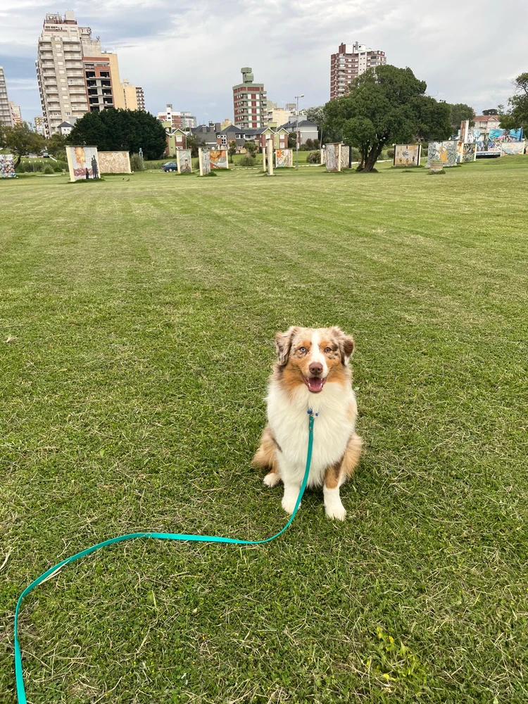 GIF subido por Cecilia