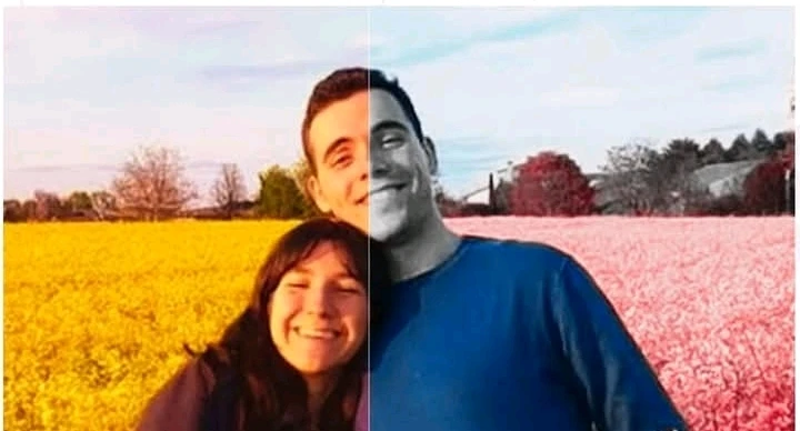 GIF caricata da LunaStorta