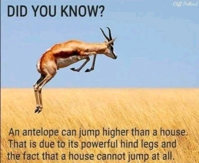 For everyone who needed a dad joke today