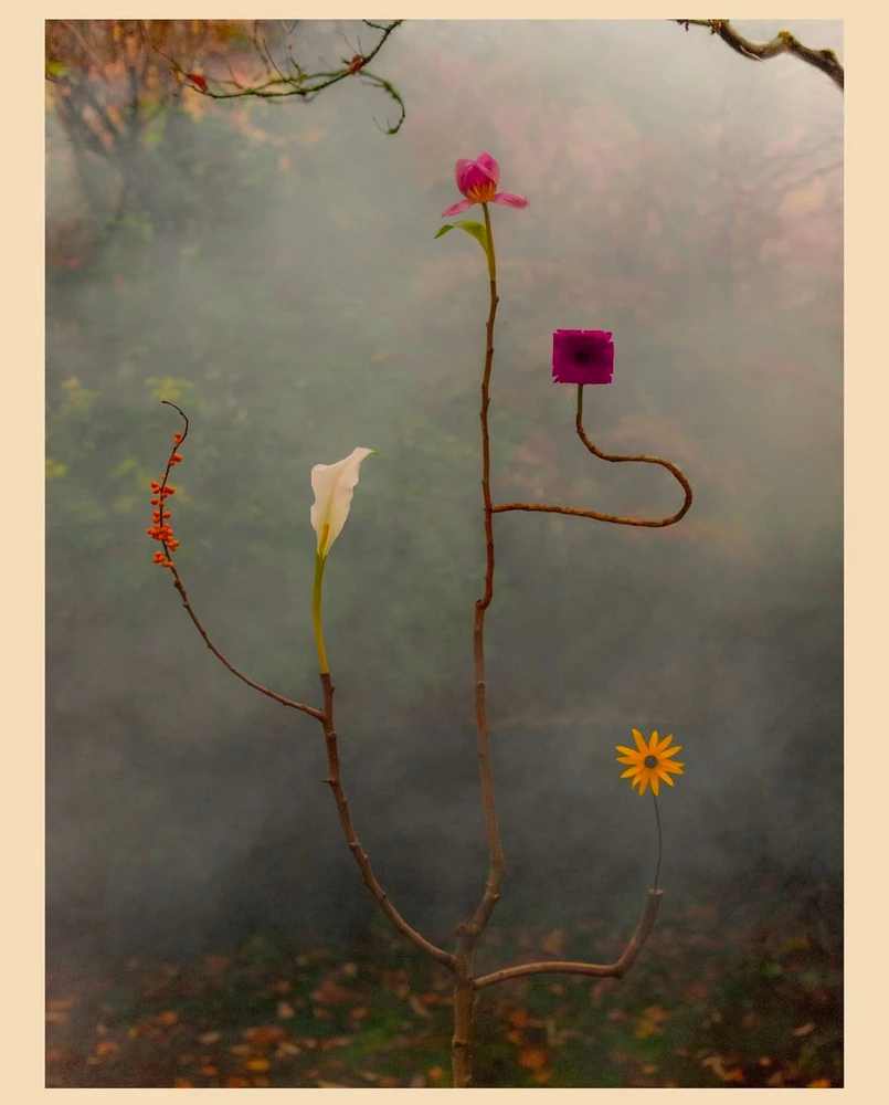 Obrázek nahrál Soni