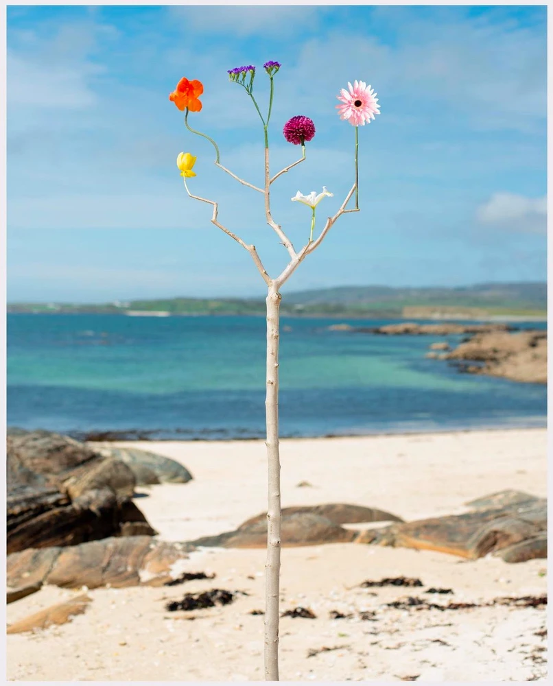 Obrázek nahrál Soni