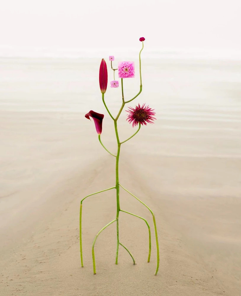 Obrázek nahrál Soni