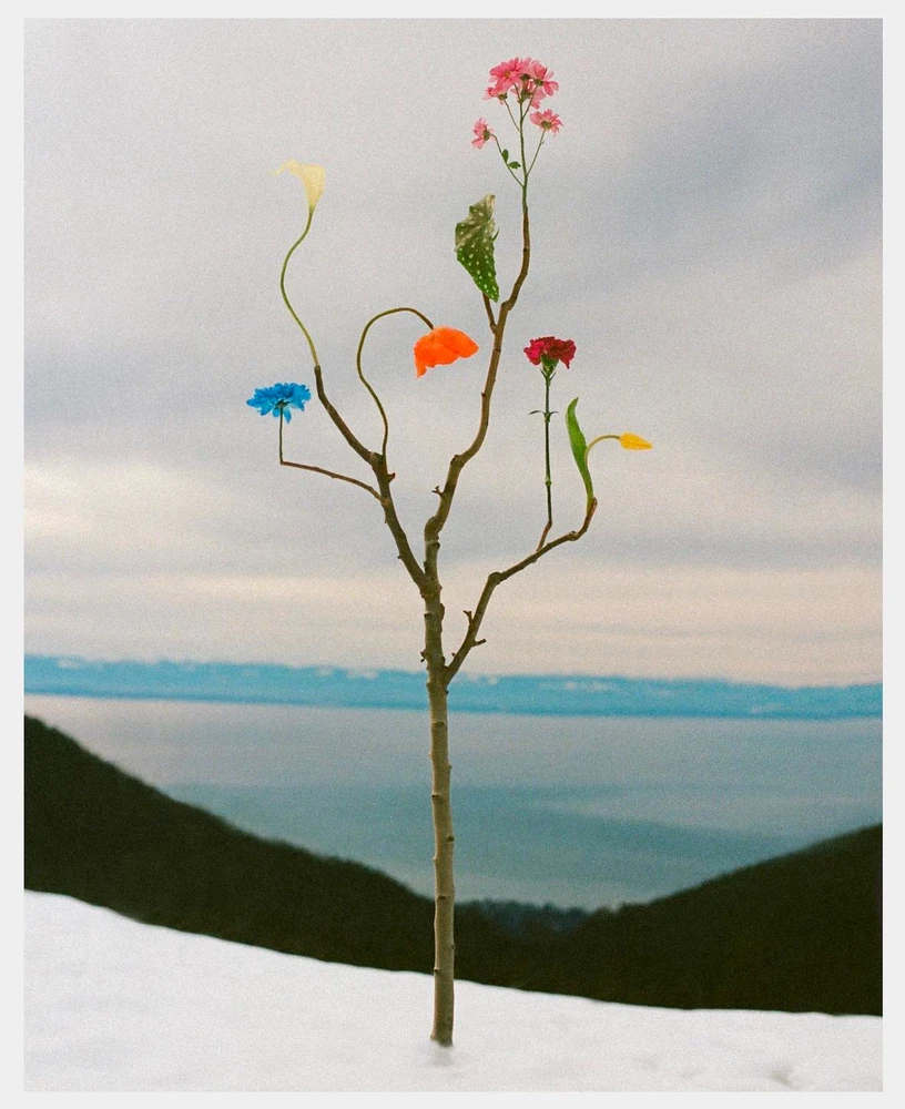 Obrázek nahrál Soni