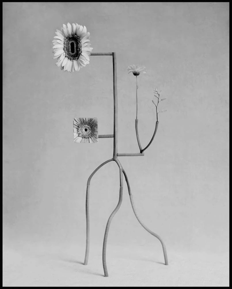 Obrázek nahrál Soni