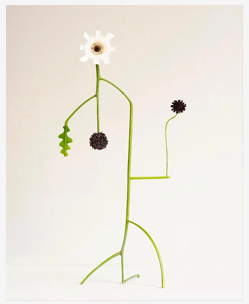 Obrázek nahrál Soni