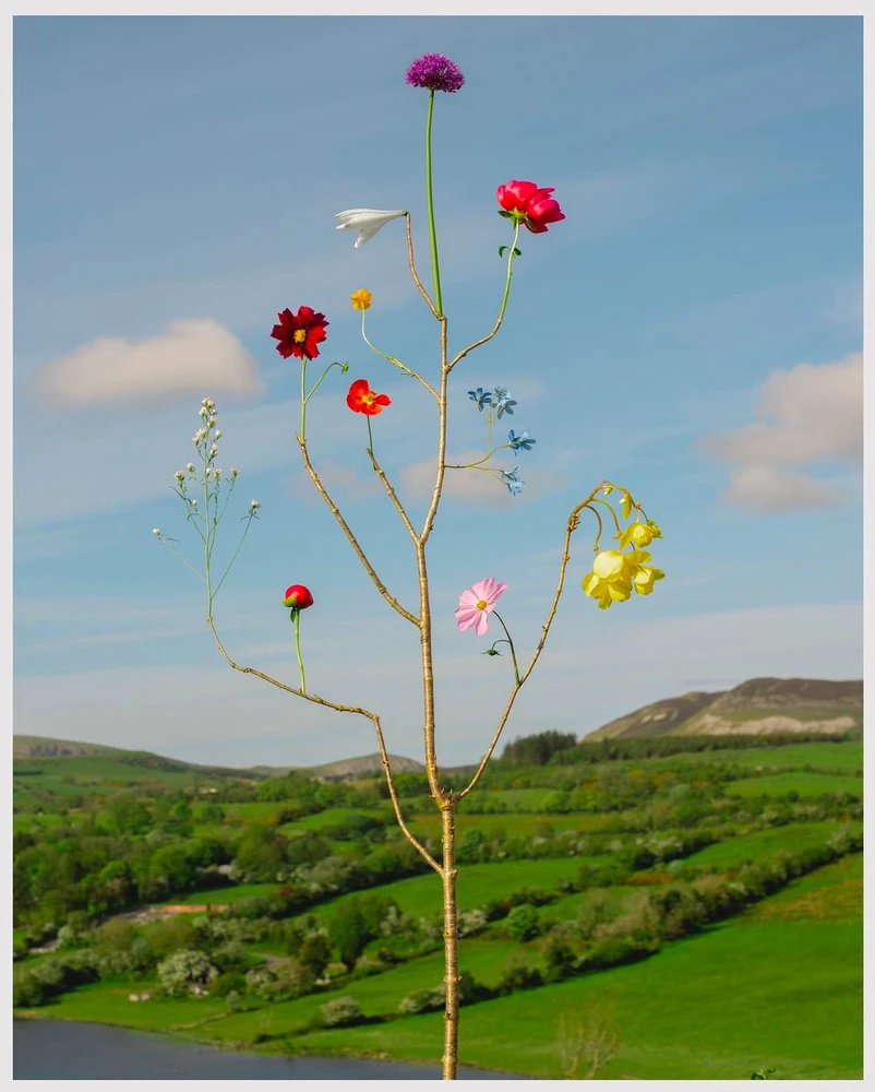Obrázek nahrál Soni