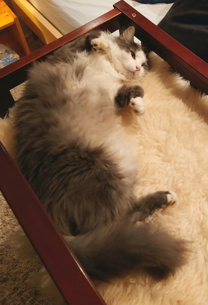 GIF uploaded by HairyEagle