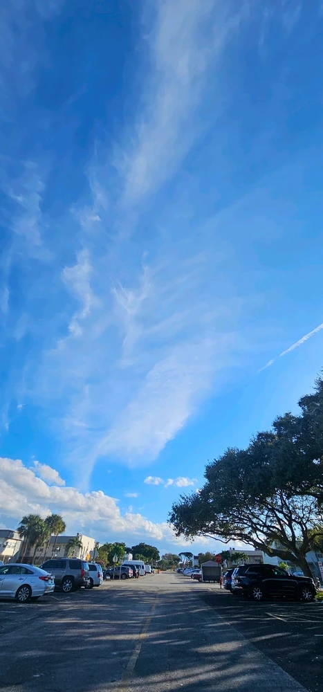 Image uploaded by Liza