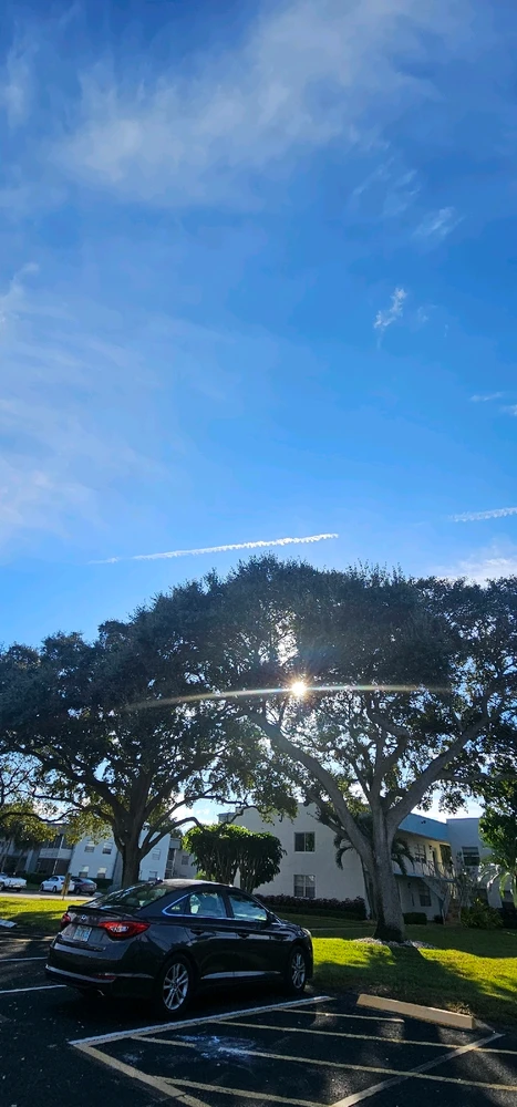 Image uploaded by Liza