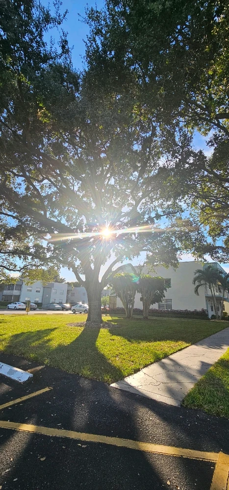 Image uploaded by Liza