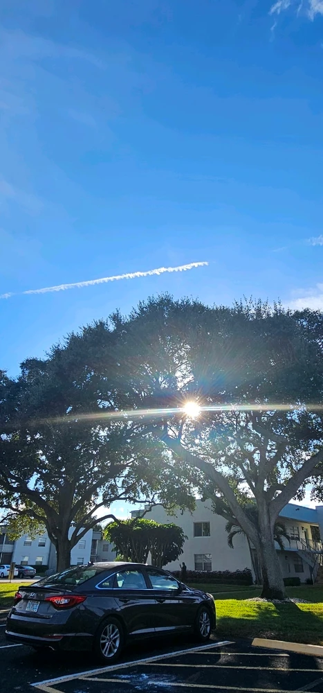 Image uploaded by Liza