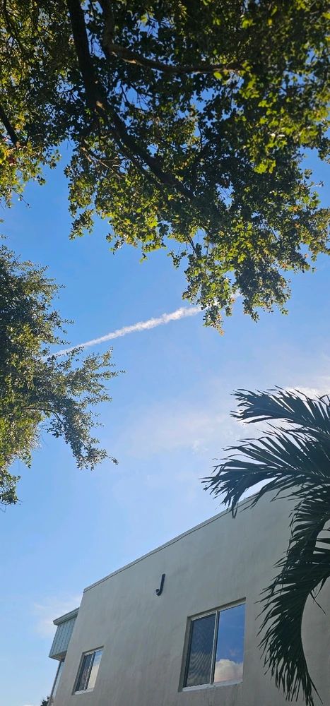 Image uploaded by Liza