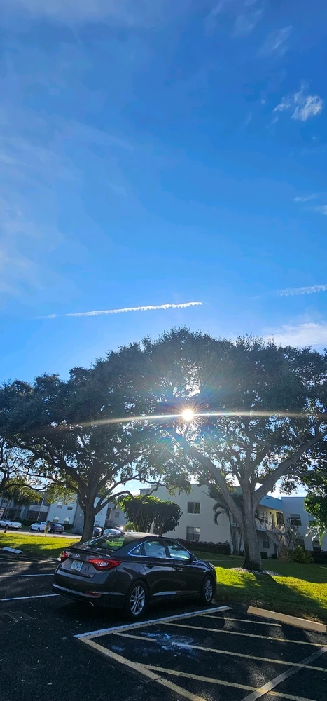 Image uploaded by Liza