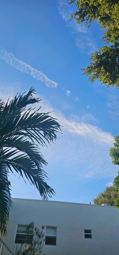 Image uploaded by Liza