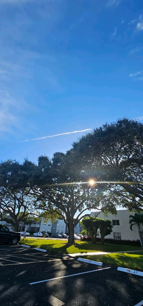 Image uploaded by Liza