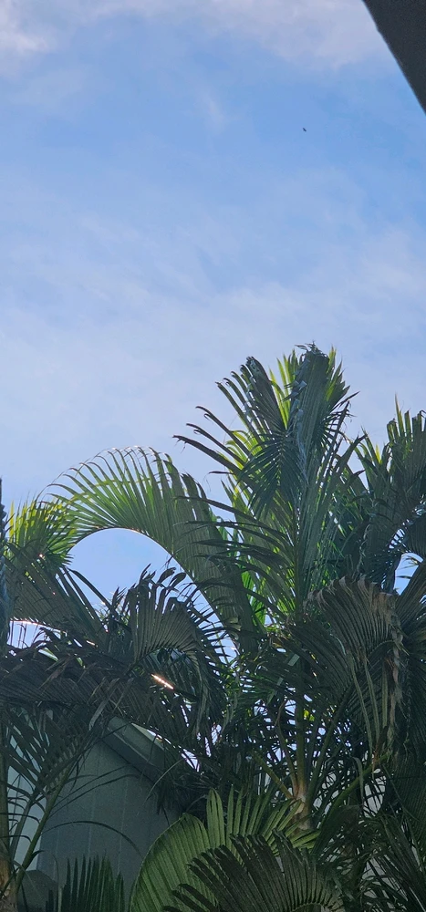 Image uploaded by Liza