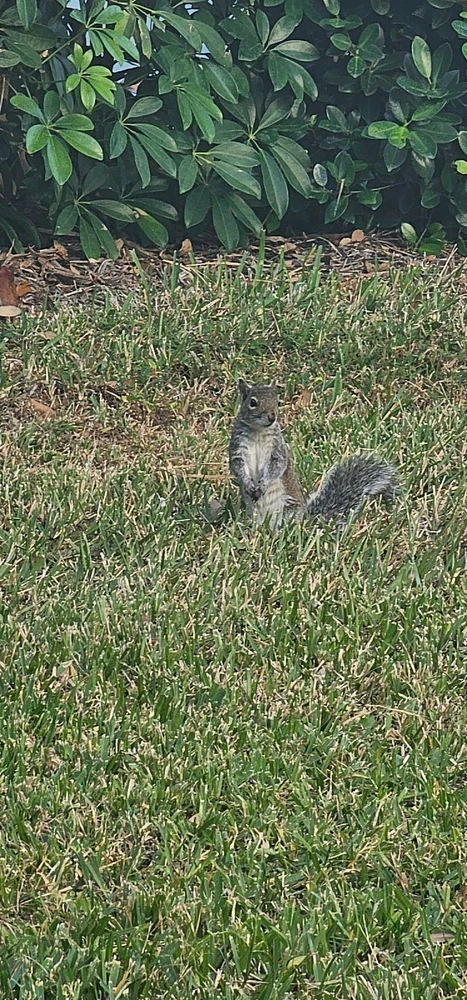 Image uploaded by Liza