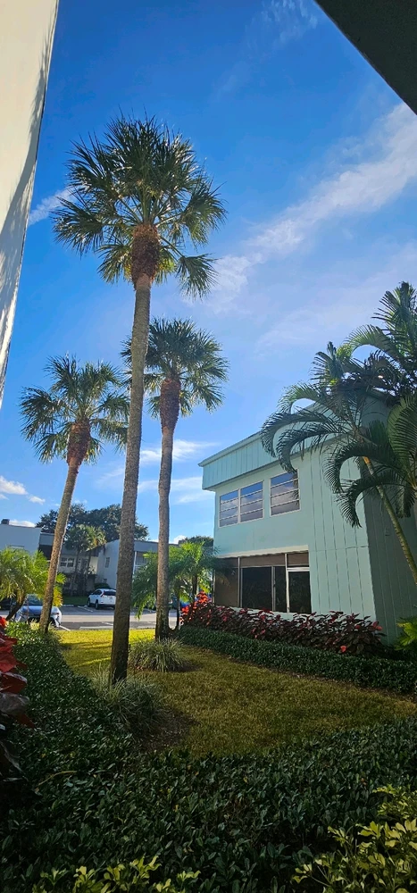 Image uploaded by Liza