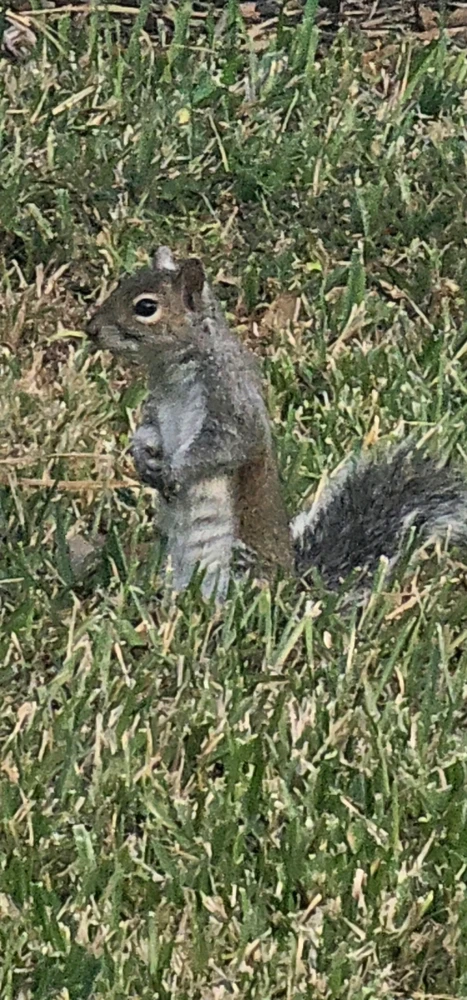 Image uploaded by Liza