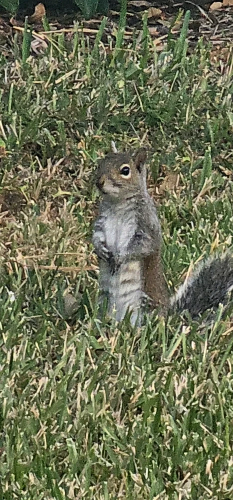 Image uploaded by Liza