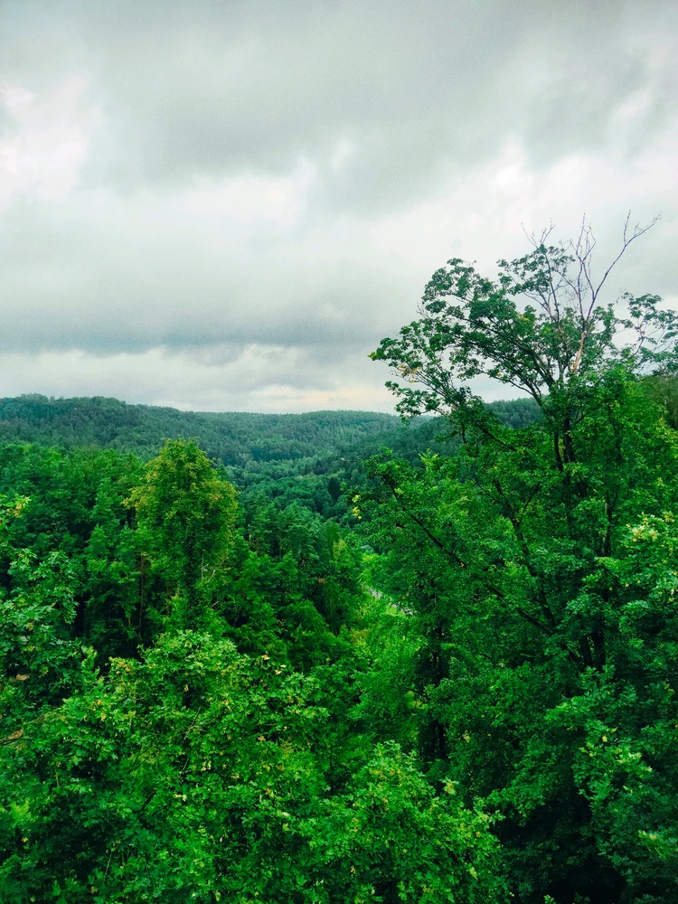 Obrázek nahrál 🧿