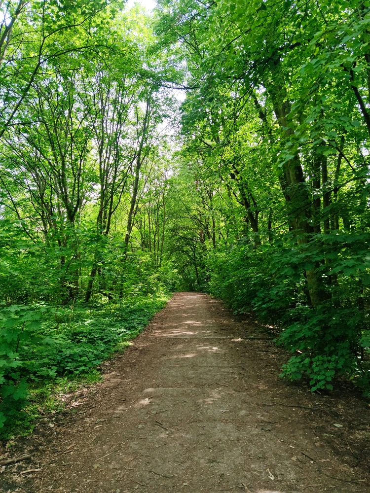 Obrázek nahrál 🧿