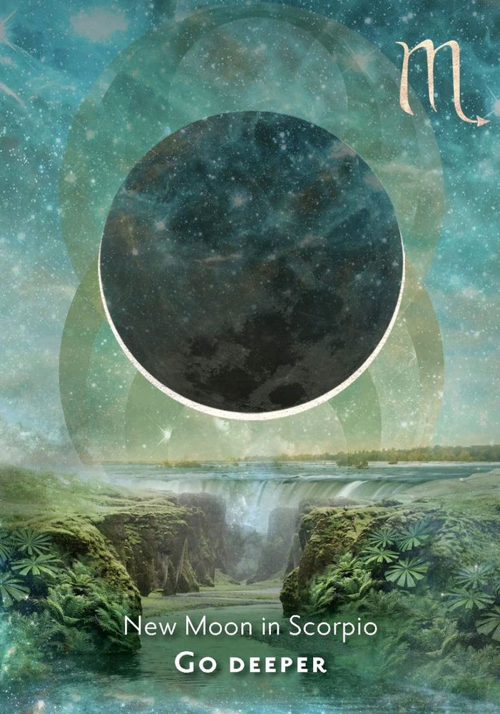 GIF uploaded by ๊ั