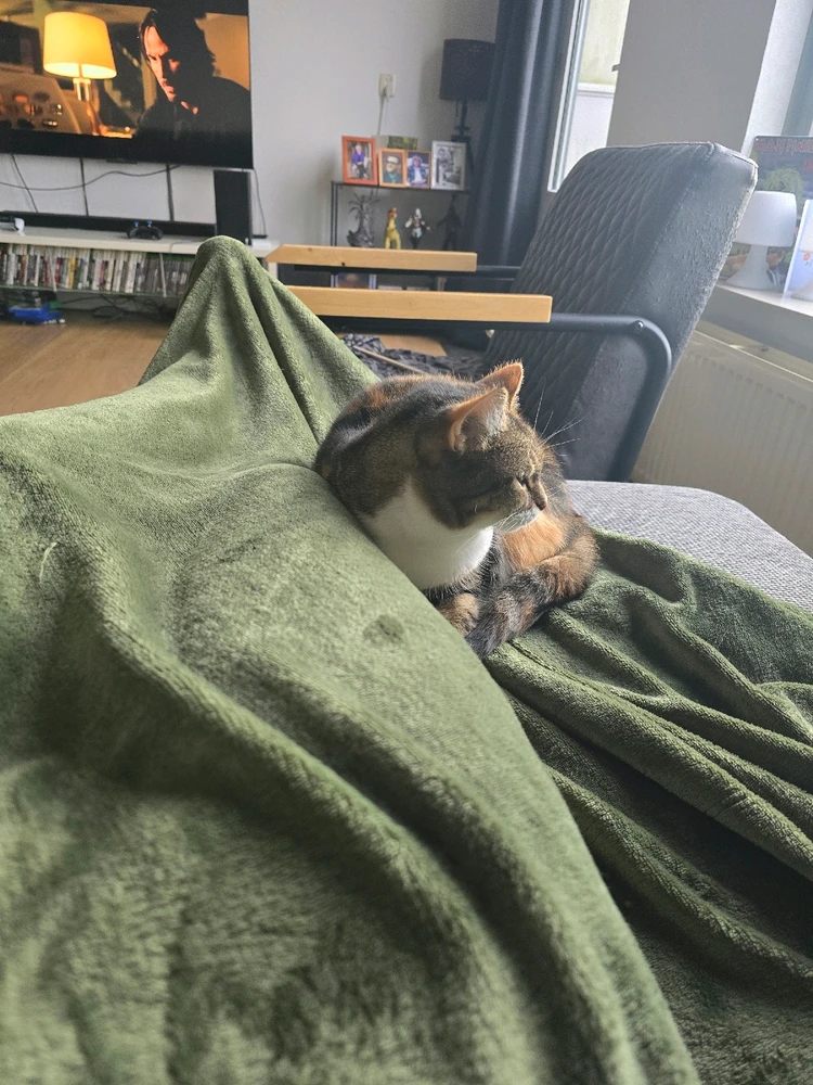 GIF geüpload door Dylan