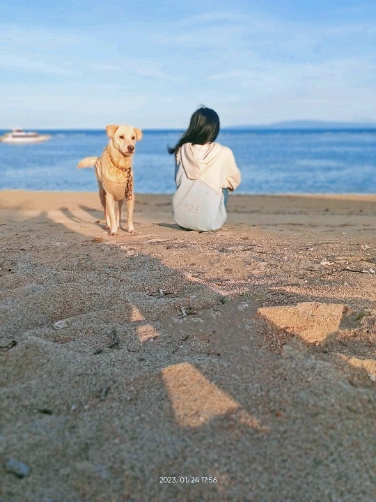 GIF diunggah oleh Mama Mocca