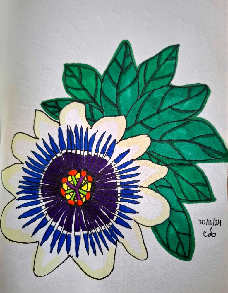 Passiflora