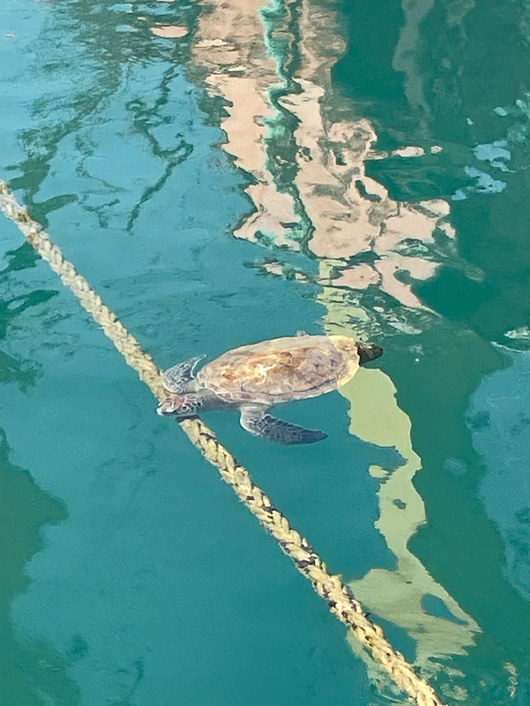 Ayberk tarafından yüklenen görsel