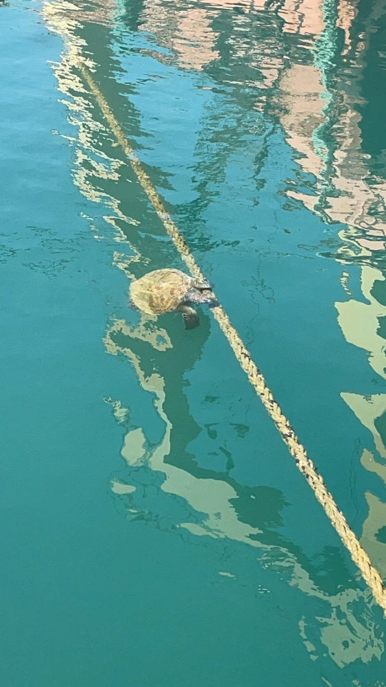 Ayberk tarafından yüklenen görsel