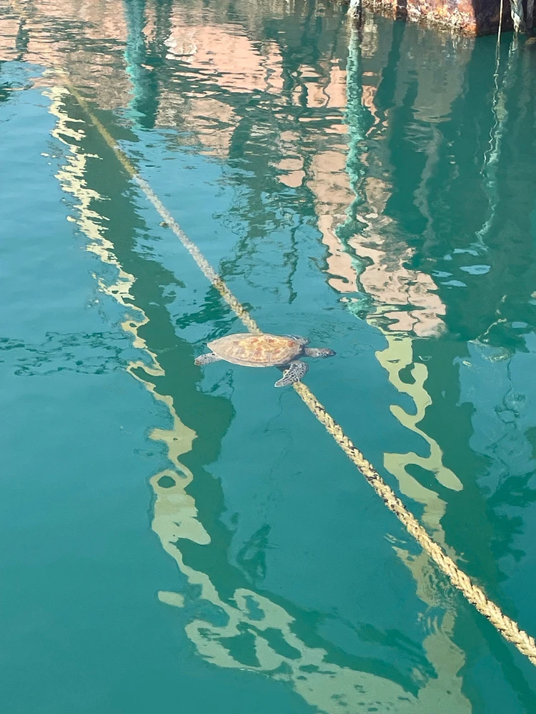 Ayberk tarafından yüklenen görsel