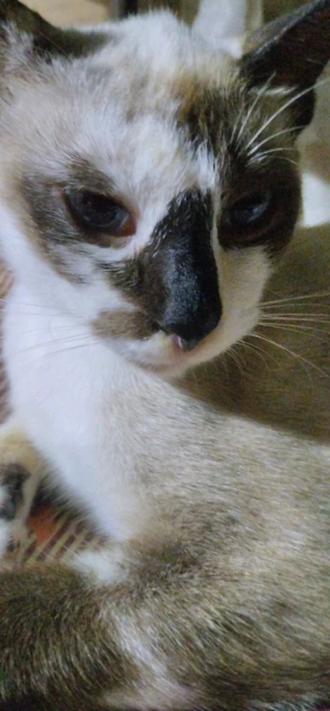 GIF uploaded by Hana
