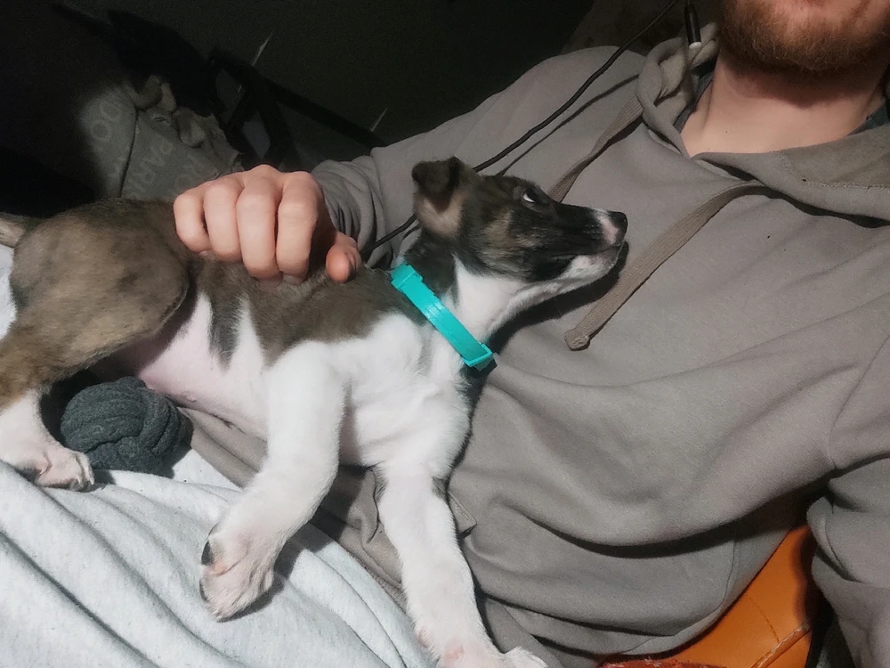 GIF įkėlė Martynas