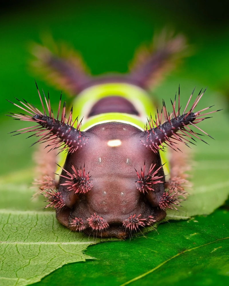 GIF uploaded by Kara