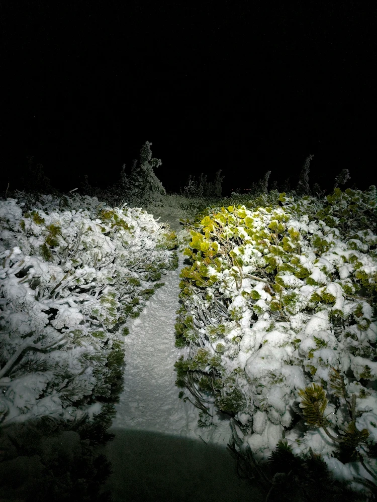 Obrázek nahrál Helenka - Wensdy