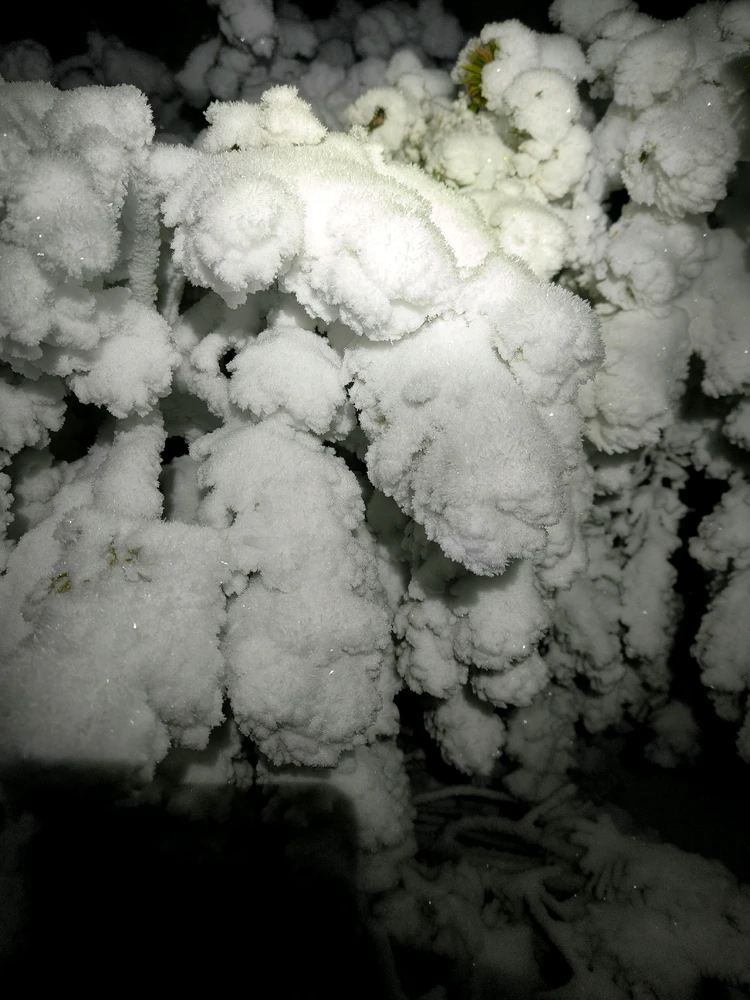 Obrázek nahrál Helenka - Wensdy