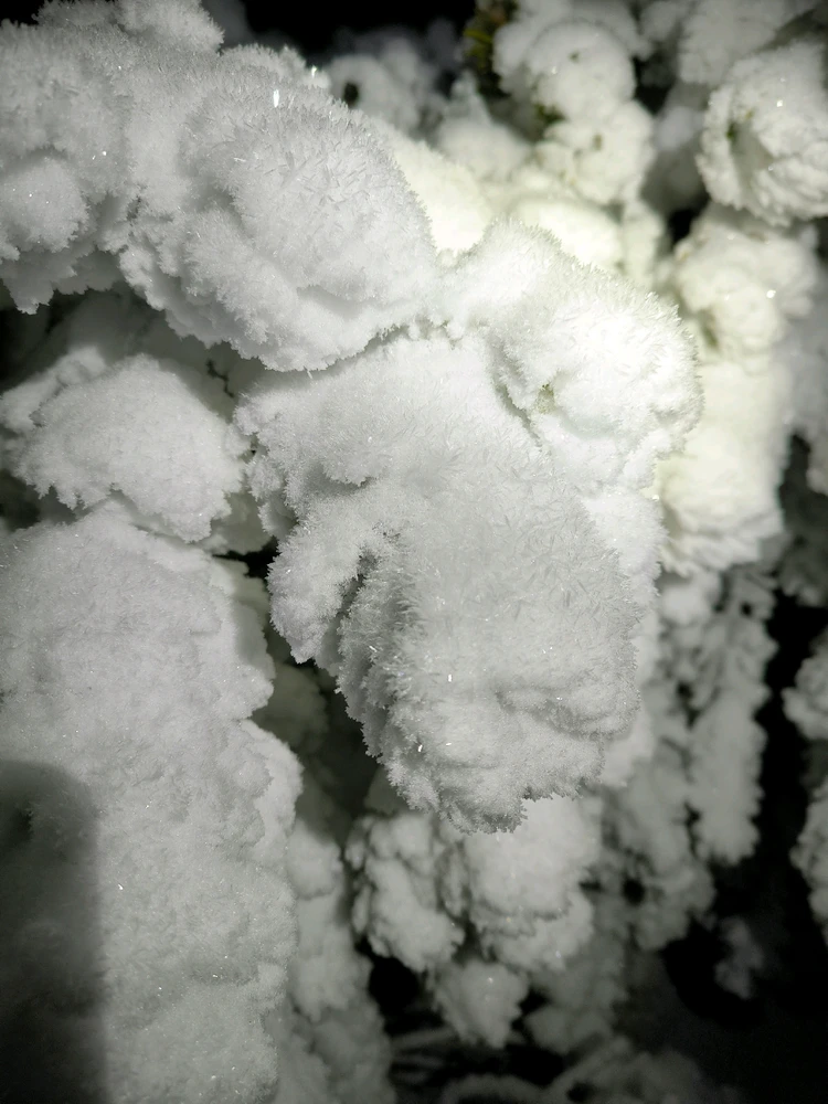 Obrázek nahrál Helenka - Wensdy