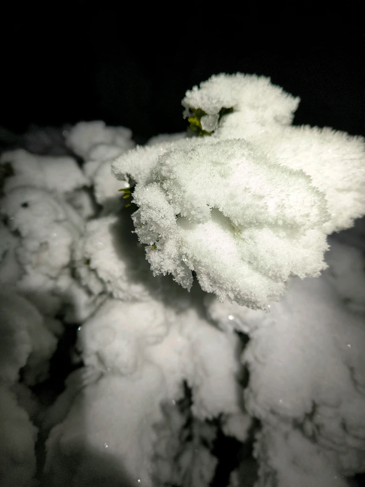 Obrázek nahrál Helenka - Wensdy