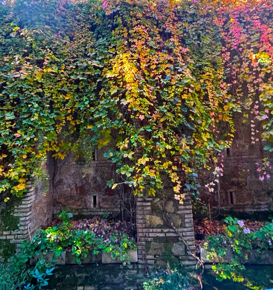 GIF ajouté par Nicola