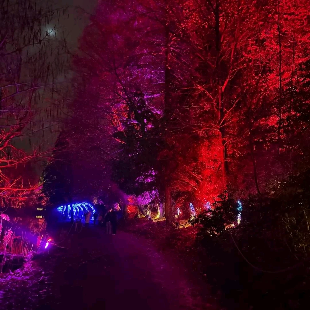 Image ajoutée par Laeti 💜👻